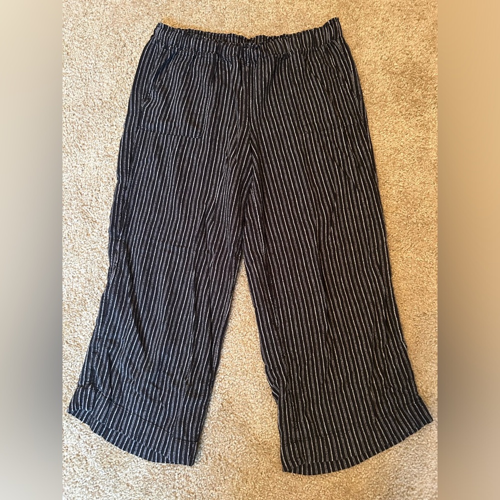 Time and Tru Striped pants XL